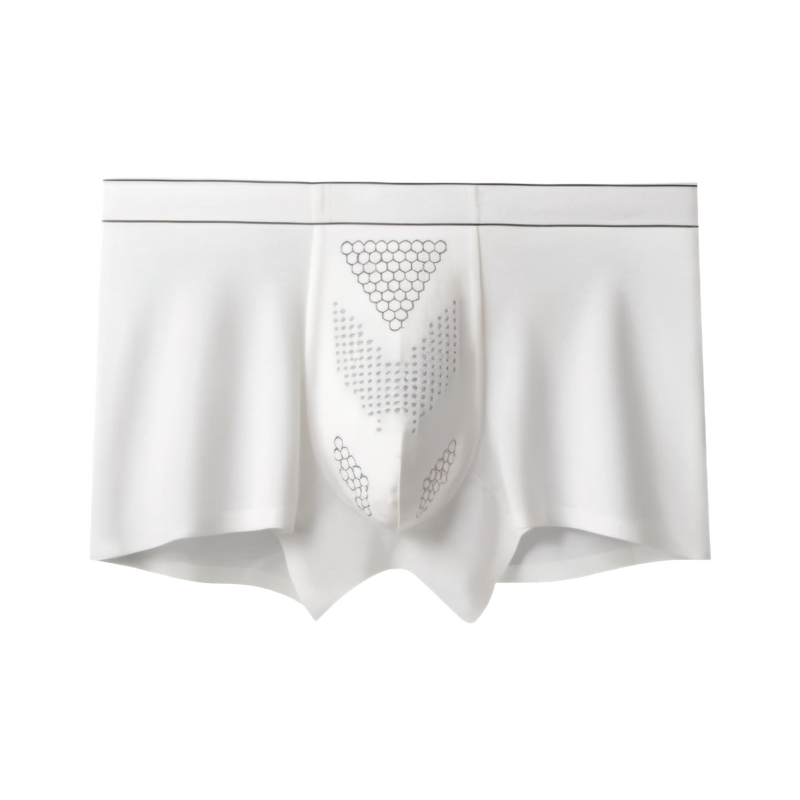 Formday men's underwear - S500 AeroMove Modal boxer brief - catalog product image