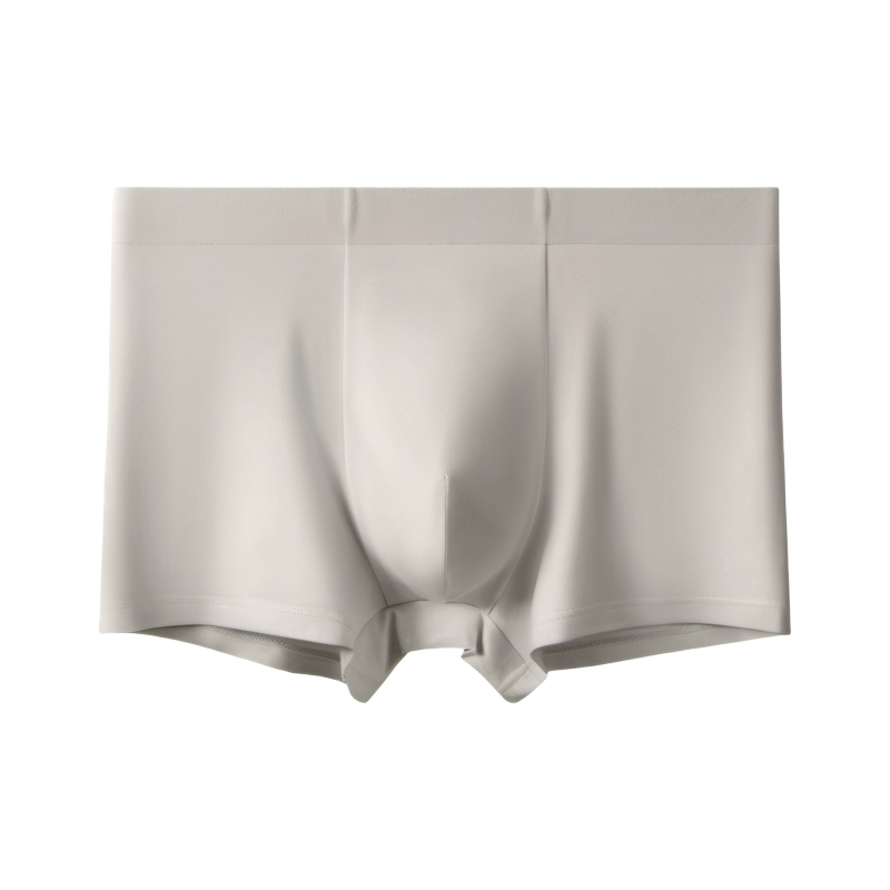 Formday men's underwear - M700 SilkModal 80S boxer brief - catalog product image